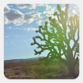 Woestijnschoonheid Vierkante Sticker (Voorkant)