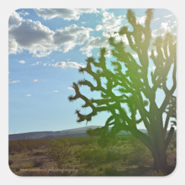 Woestijnschoonheid Vierkante Sticker