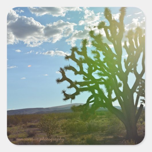 Woestijnschoonheid Vierkante Sticker (Voorkant)