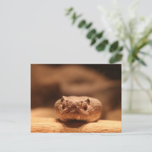 woestijnslang briefkaart (Staand voorkant)