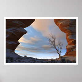 Woestijnsneeuw Poster