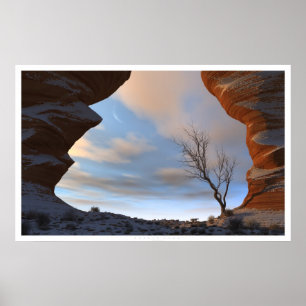 Woestijnsneeuw Poster