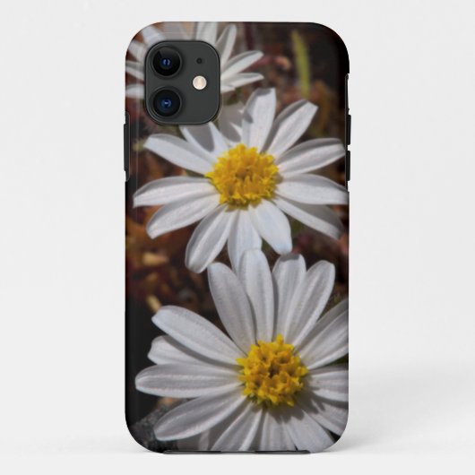 Woestijnster Wilde Bloemen Case-Mate iPhone Case (Achterkant)