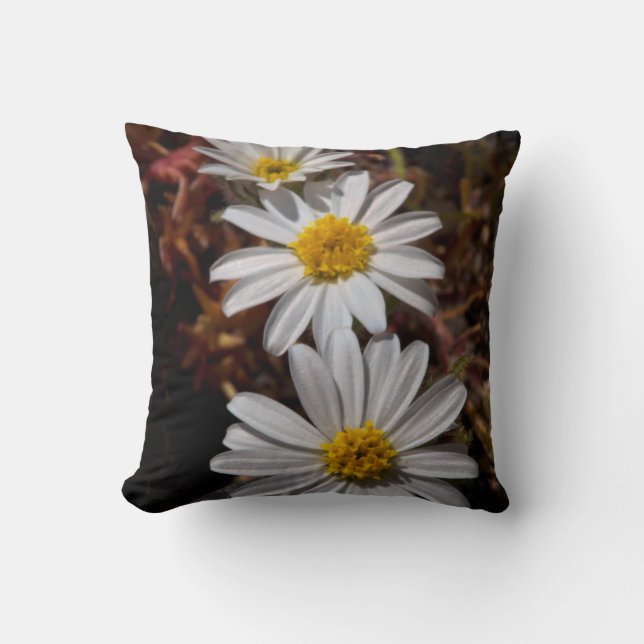 Woestijnster Wilde Bloemen Kussen (Voorkant)
