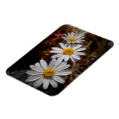 Woestijnster Wilde Bloemen Magneet (Linkerzijde)