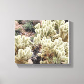 Woestijnstraling Cholla Cactus Foto Canvas Afdruk (Voorkant)