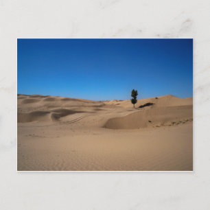 woestijnstructuur briefkaart