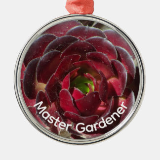 Woestijnsucculent Foto Master Tuinier Kerstmis Metalen Ornament