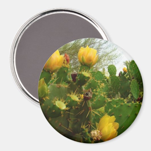 woestijnventilator magneet (Voorkant / Achterkant)