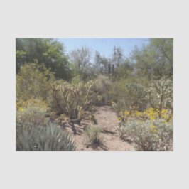 Woestijnweefselpapier Tissuepapier