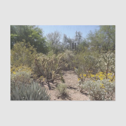 Woestijnweefselpapier Tissuepapier (Voorkant)