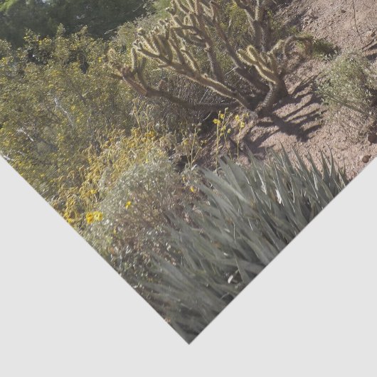 Woestijnweefselpapier Tissuepapier (Detail)