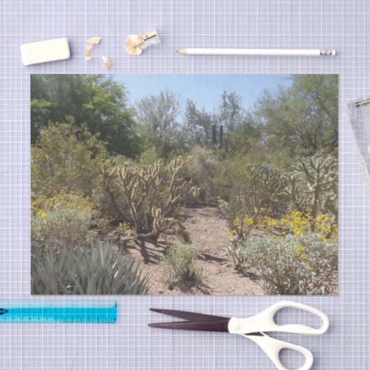 Woestijnweefselpapier Tissuepapier (Craft)