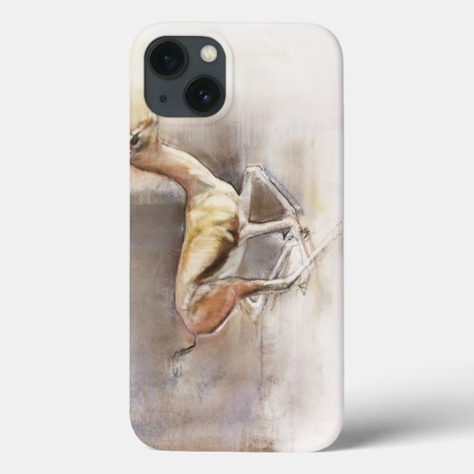 woestijnwind Case-Mate iPhone case (Achterkant)