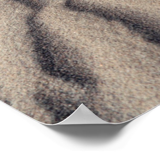 Woestijnzandrimpels Poster (Hoek)