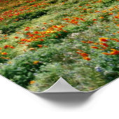 Woestijnzonsondergang op een gebied van Californis Poster (Hoek)