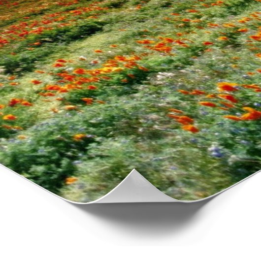 Woestijnzonsondergang op een gebied van Californis Poster (Hoek)