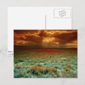 Woestijnzonsondergang op een veld van Californisch Briefkaart (Voorkant / Achterkant)