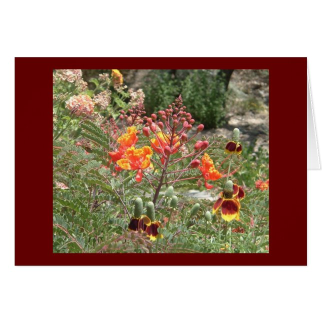 Woestijnzuidwestbloemen (Voorkant Horizontaal)