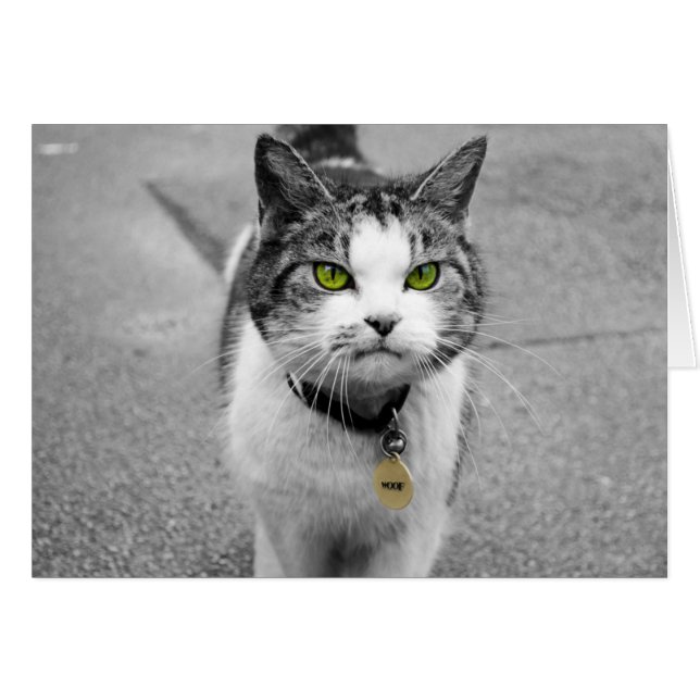 Wof (Voorkant Horizontaal)