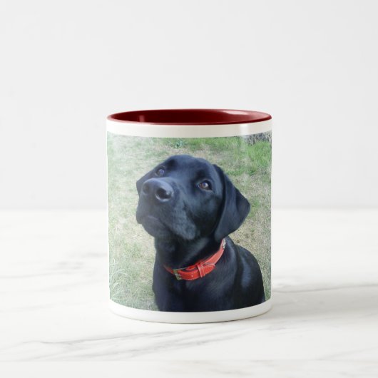 Wof Bark! Tweekleurige Koffiemok (Center)