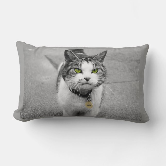 Wof Kussen (Voorkant)