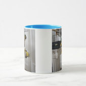 Wof & Meow Mok (Midden)