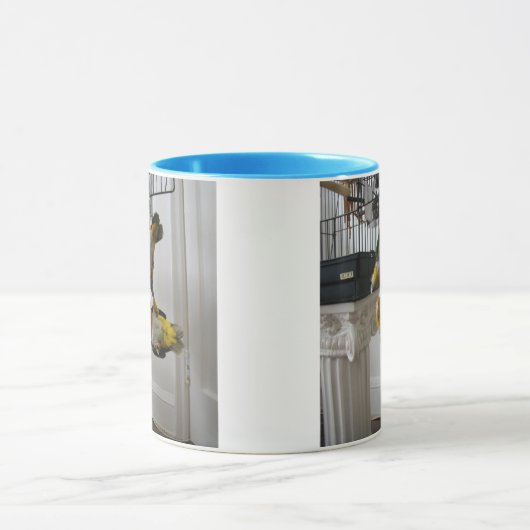 Wof & Meow Mok (Midden)