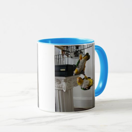 Wof & Meow Mok (Voorkant rechts)