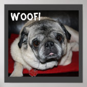 Wof, Poster (Voorkant)