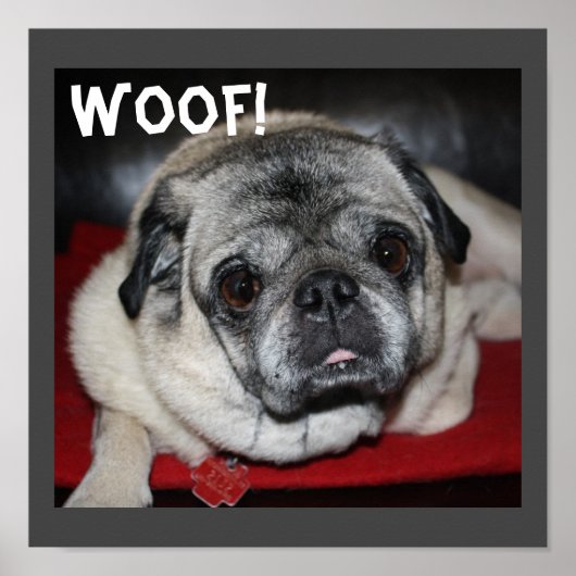 Wof, Poster (Voorkant)