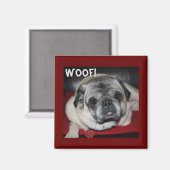 Wof, Pug Magnet (Voorkant / Achterkant)