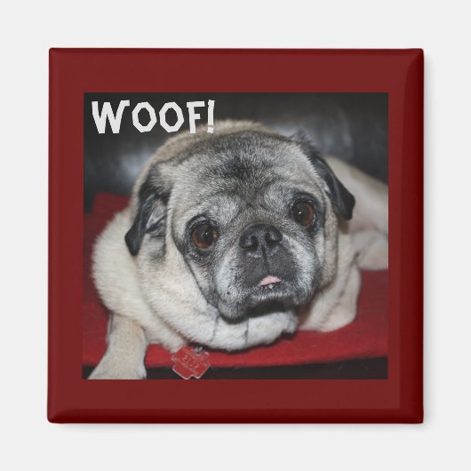 Wof, Pug Magnet (Voorkant)