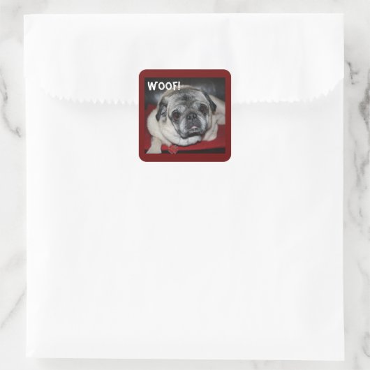 Wof, Pug Sticker (Tas)