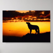 Wofl Sunset Poster (Voorkant)