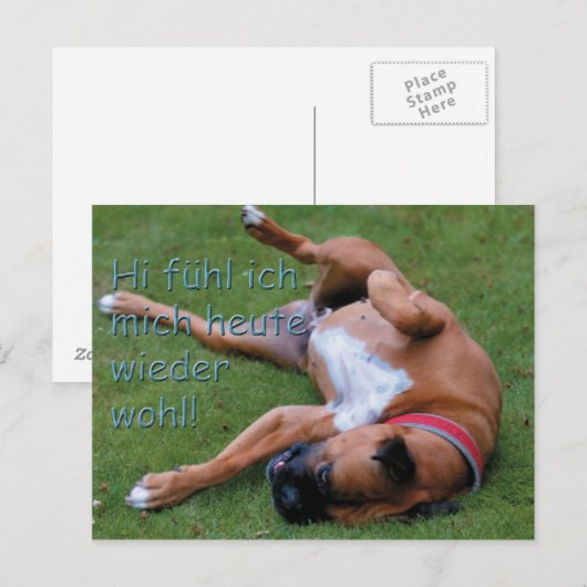 Wohlfühlboxer Briefkaart (Voorkant / Achterkant)