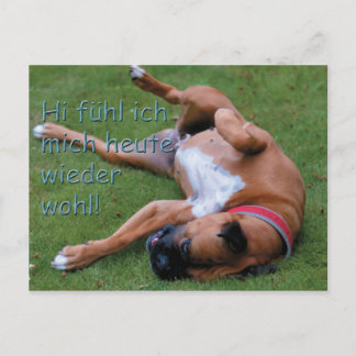 Wohlfühlboxer Briefkaart