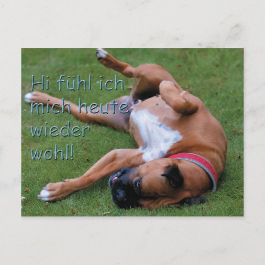 Wohlfühlboxer Briefkaart (Voorkant)