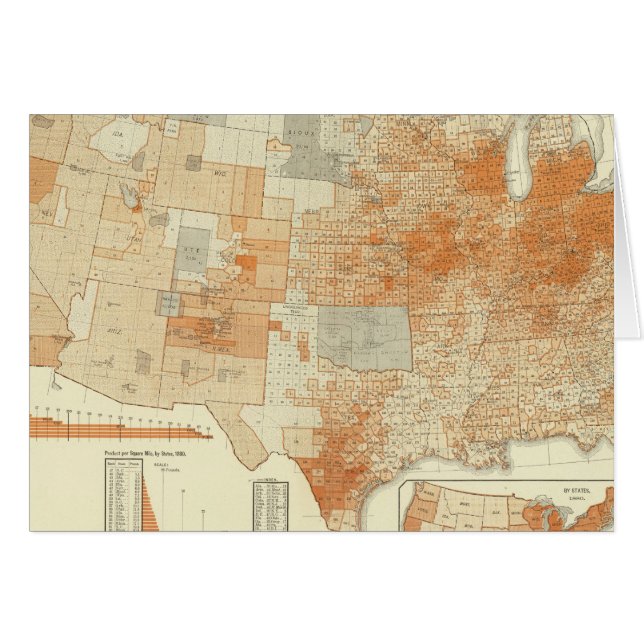 Wol (Voorkant Horizontaal)