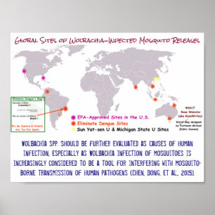 Wolbachia en menselijke infectie door RoseWrites Poster