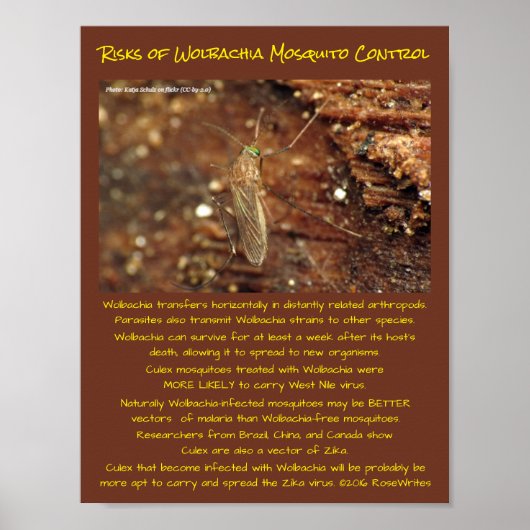 Wolbachia Mosquito: Risico's van controle door Ros Poster (Voorkant)