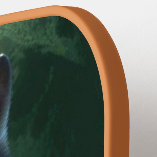 Wolf19: Pickleball Paddle (Links Detail)