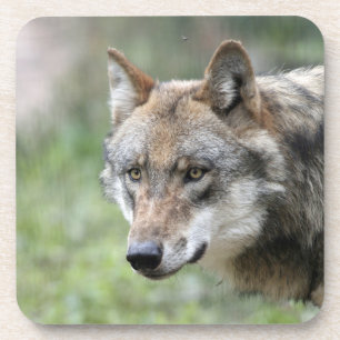 Wolf 001 bier onderzetter