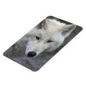 Wolf 001 magneet (Linkerzijde)