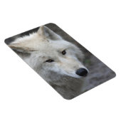Wolf 001 magneet (Rechterzijde)