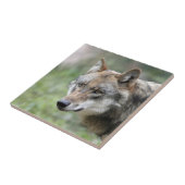 Wolf 001 tegeltje (Zijkant)