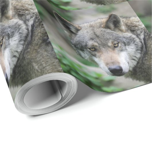Wolf_011 Cadeaupapier (Rol Hoek)