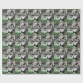 Wolf_011 Cadeaupapier (Vlak)