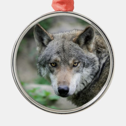 Wolf_011 Metalen Ornament (Voorkant)
