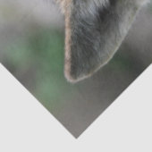 Wolf_011 Tissuepapier (Detail)